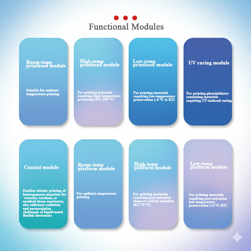 Biological 3D Printer,Binder Jetting BJ 3D Printer,DIW 3D Printer, Makerpi 3D printer, DIW 3D printing machine